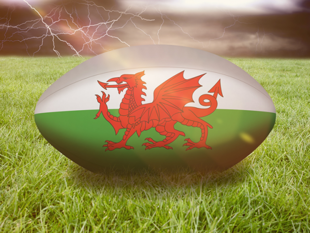 Keep up to date with the Rugby World Cup