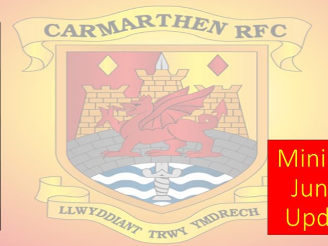 Mini and Junior Rugby Update