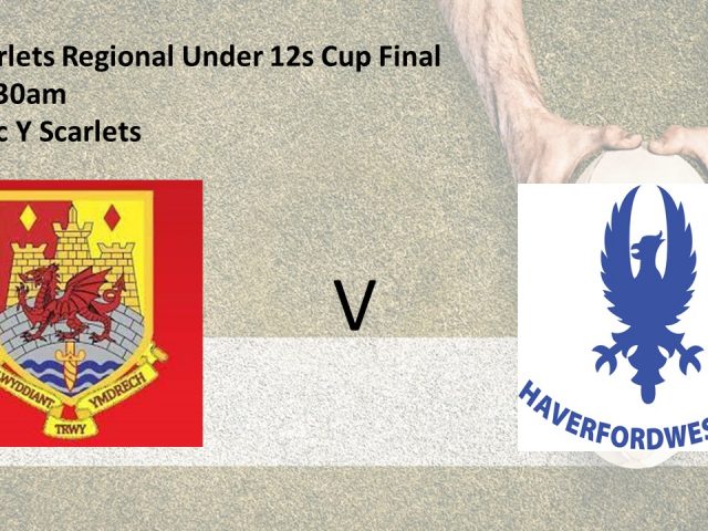 Under 12’s Raring to go at Parc y Scarlets